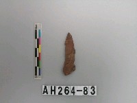 藏品(打製石鏃)的圖片